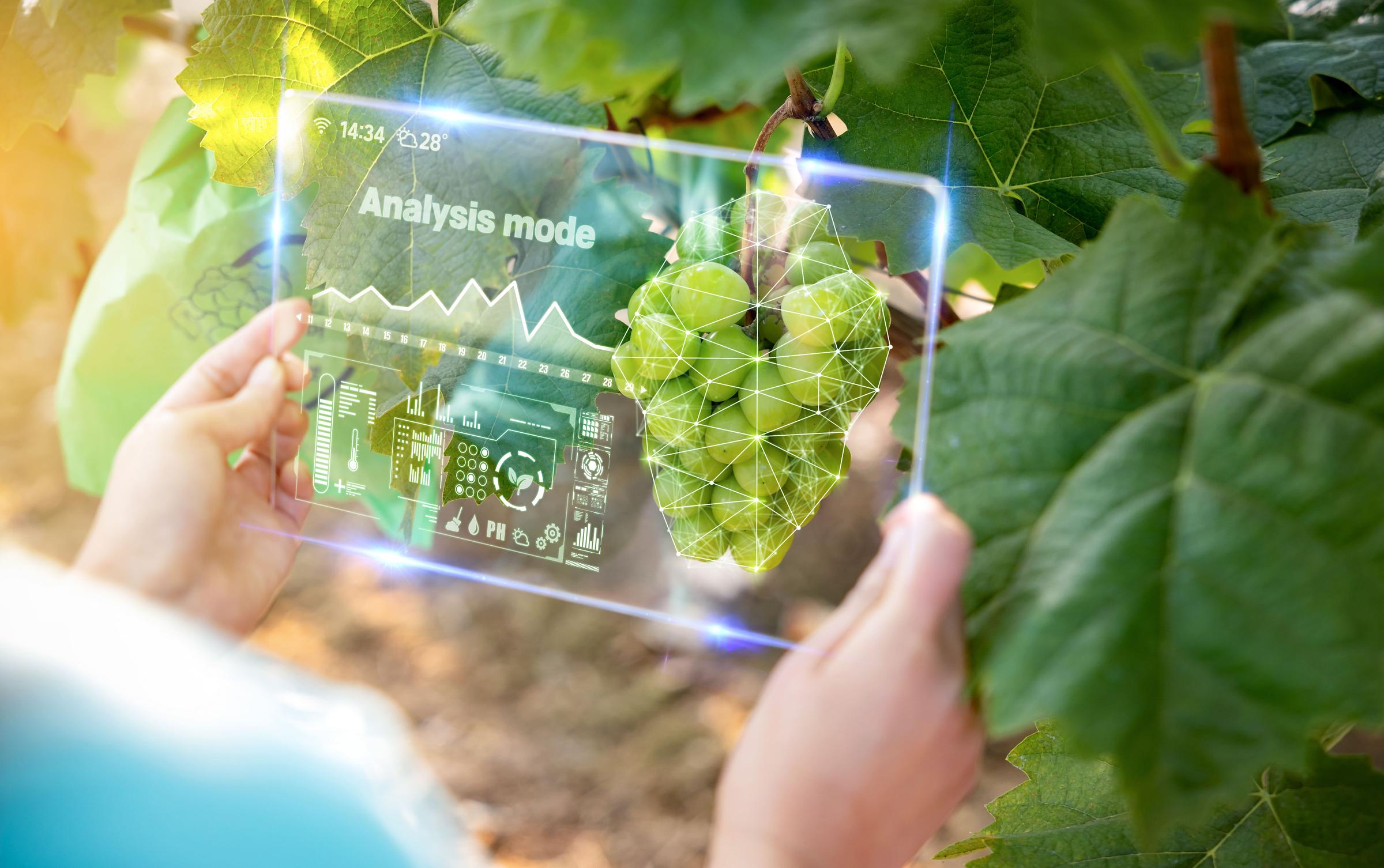 Department of Smart-farm