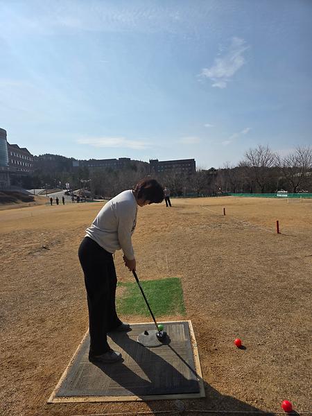 파크골프5